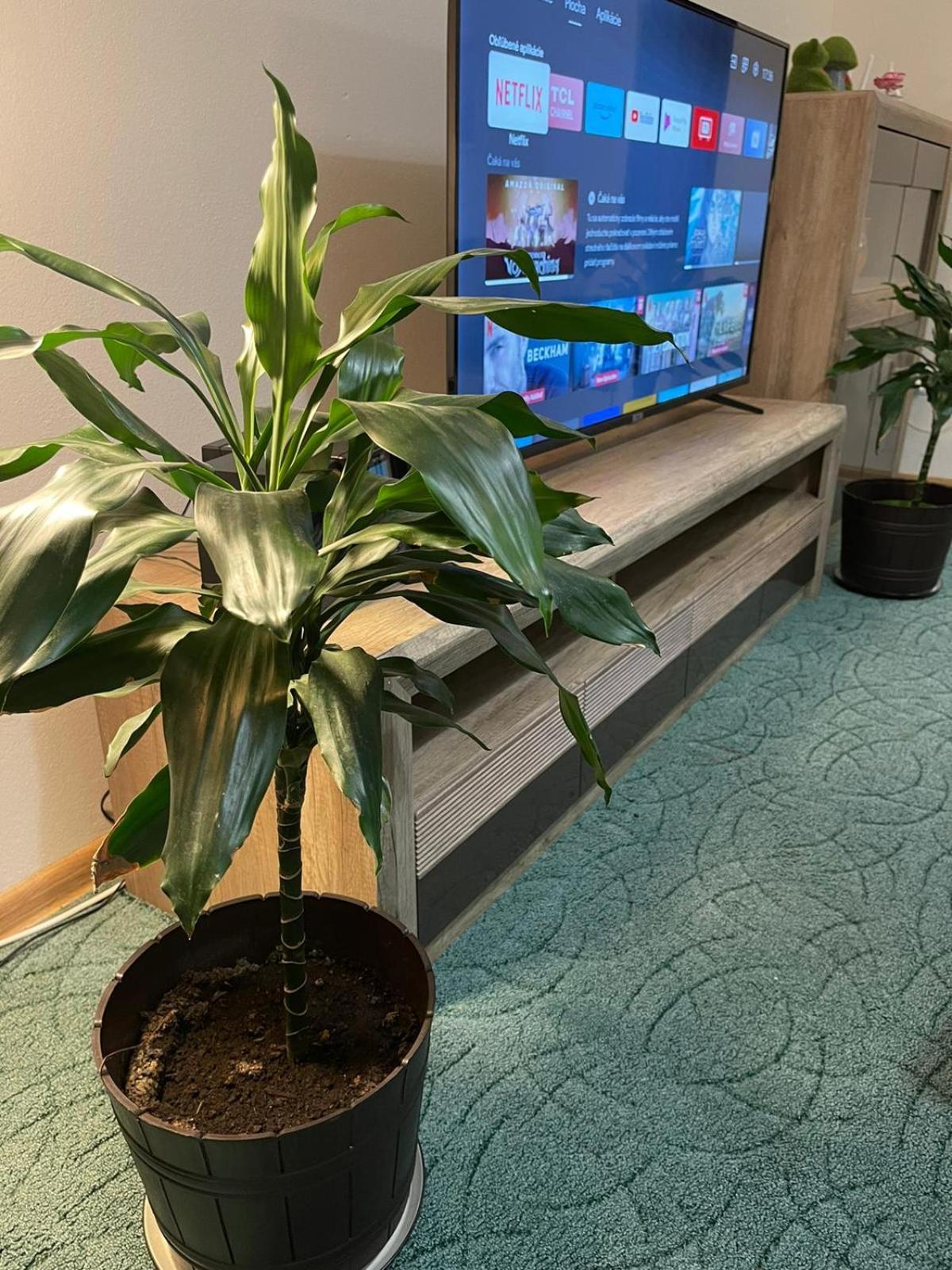 Velky Apartman ブラチスラヴァ エクステリア 写真